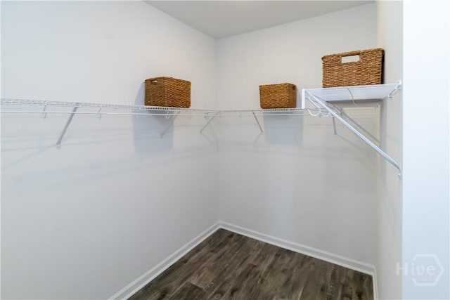 143 Crimson Ln, Savannah, GA 31302 - walk in closet featuring dark wood-style floors