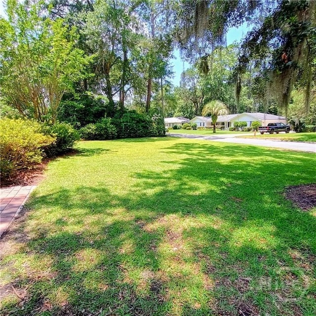 35 Clarendon Rd, Savannah, GA 31410 - photo 37