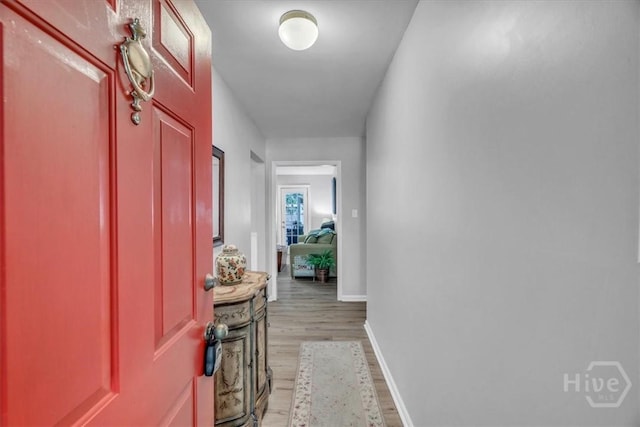 13 Bryan Wood Cir, Savannah, GA 31410 - hall featuring light wood-style floors and baseboards