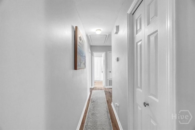 13 Bryan Wood Cir, Savannah, GA 31410 - hall with attic access and wood finished floors