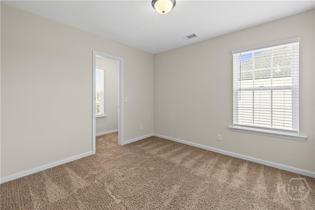 1161 Turpentine Trl, Hinesville, GA 31313 - spare room with carpet flooring and healthy amount of natural light