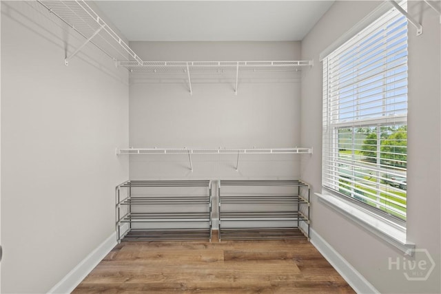 19 Julliard Ct, Savannah, GA 31419 - photo 17
