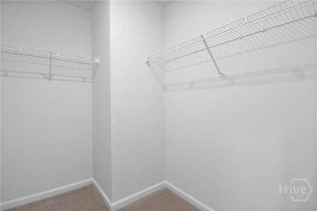 172 Benelli Dr, Pooler, GA 31322 - photo 27