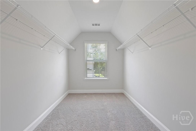 131 Guana Ln, Bloomingdale, GA 31302 - walk in closet with carpet and vaulted ceiling