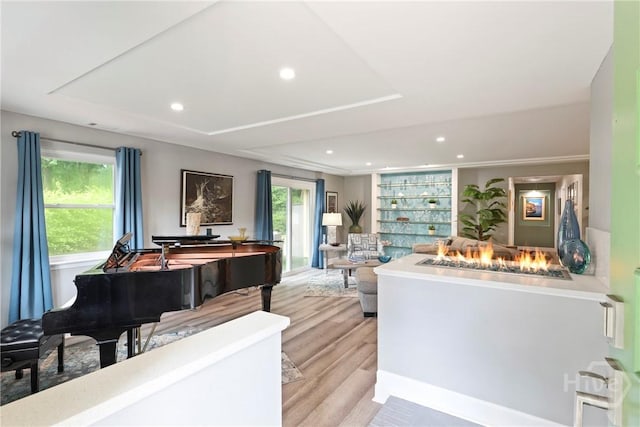 7619 Lynes Ct, Savannah, GA 31406 - living room with light wood finished floors, a raised ceiling, and recessed lighting