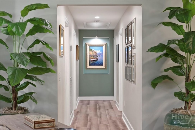 7619 Lynes Ct, Savannah, GA 31406 - hall featuring attic access and wood finished floors