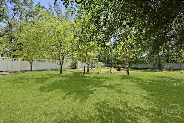 265 Mahan St, Jesup, GA 31545 - view of fenced backyard