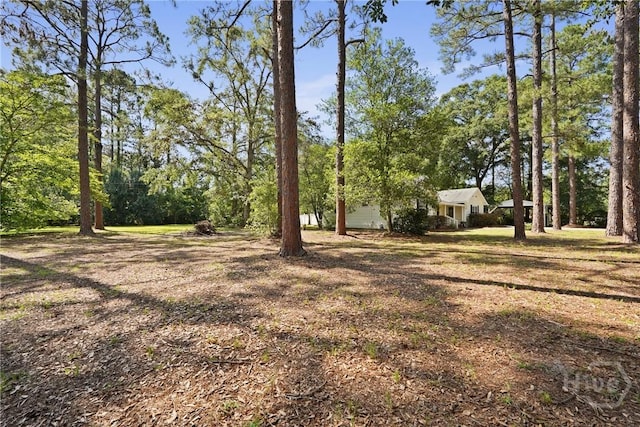 265 Mahan St, Jesup, GA 31545 - view of yard