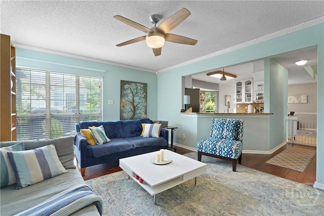 505 Pointe N Dr, Savannah, GA 31410 - living area with plenty of natural light, wood finished floors, ceiling fan, ornamental molding, and a textured ceiling