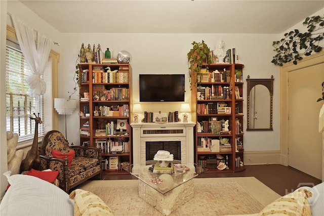 24 E Jones St, Savannah, GA 31401 - living room with a fireplace