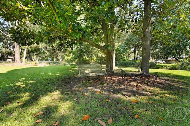 206 Devonshire Rd, Savannah, GA 31410 - view of yard featuring view of wooded area