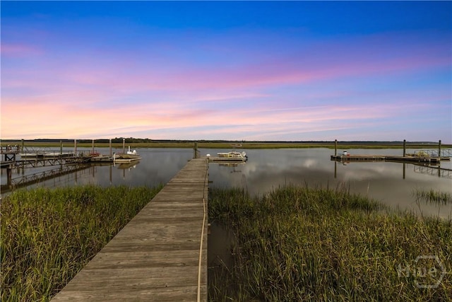 252 River Dr, Midway, GA 31320 - dock area featuring a water view