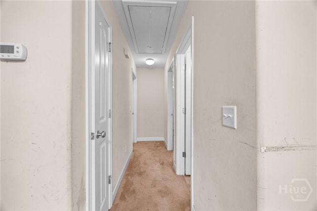 57 Fiore Dr, Savannah, GA 31419 - corridor featuring attic access and light colored carpet