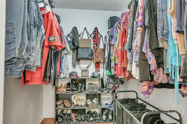 198 Jennifer Cir, Rincon, GA 31326 - walk in closet with wood finished floors