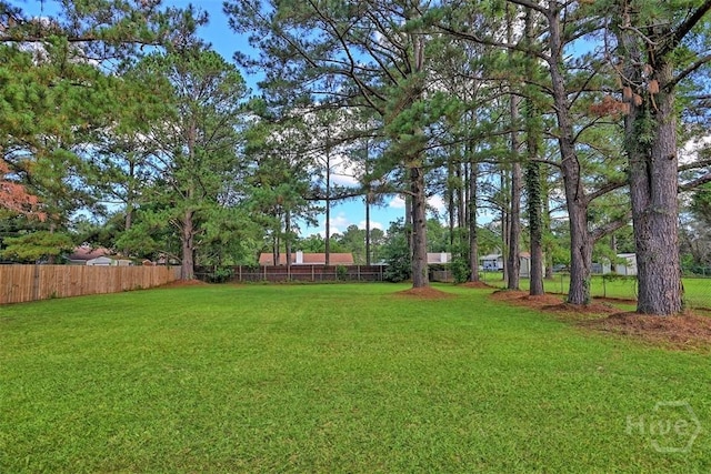 198 Jennifer Cir, Rincon, GA 31326 - view of yard
