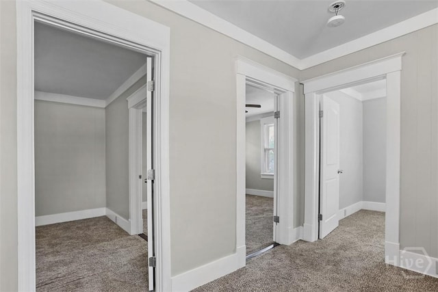 1104 E 40th St, Savannah, GA 31404 - hallway with carpet flooring and ornamental molding