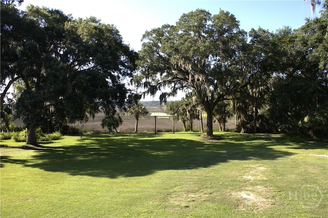 2766 Fort Mcallister Rd, Richmond Hill, GA 31324 - view of green lawn