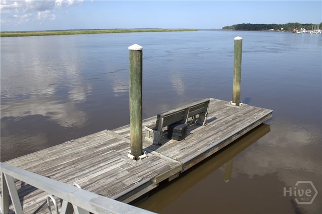 2766 Fort Mcallister Rd, Richmond Hill, GA 31324 - dock with a water view