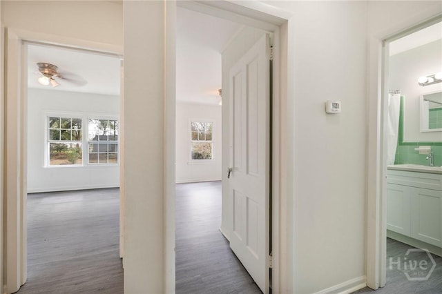 1321/1323 E 55th St, Savannah, GA 31404 - hallway with wood finished floors and baseboards