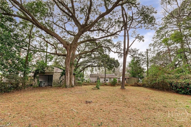 1321/1323 E 55th St, Savannah, GA 31404 - view of grassy yard featuring a storage shed