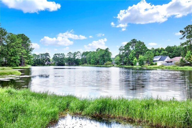 188 Berwick Lakes Blvd, Pooler, GA 31322 - photo 35