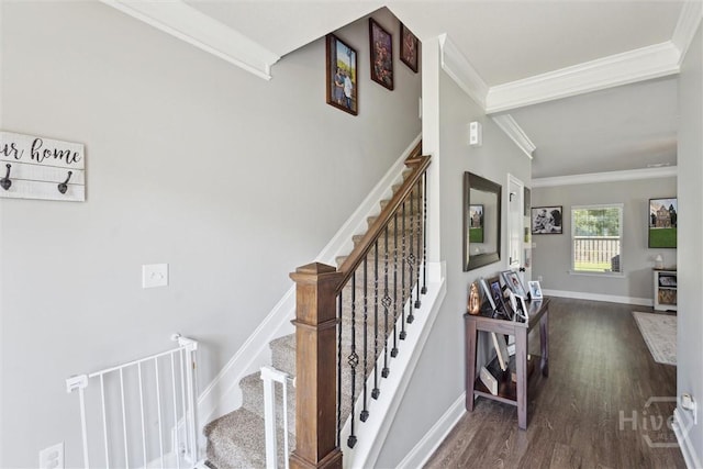 105 Summer Station Dr, Guyton, GA 31312 - staircase featuring wood finished floors and ornamental molding