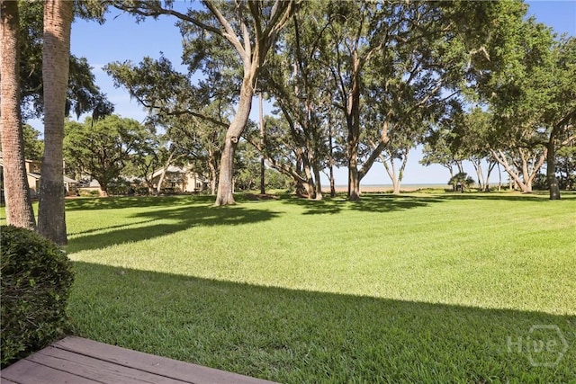 4 Tapestry Ln, Savannah, GA 31411 - view of grassy yard