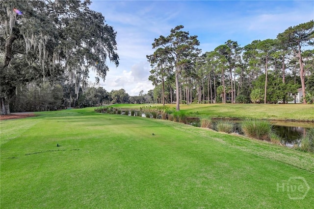 4 Tapestry Ln, Savannah, GA 31411 - surrounding community featuring a water view, view of golf course, view of wooded area, and a yard