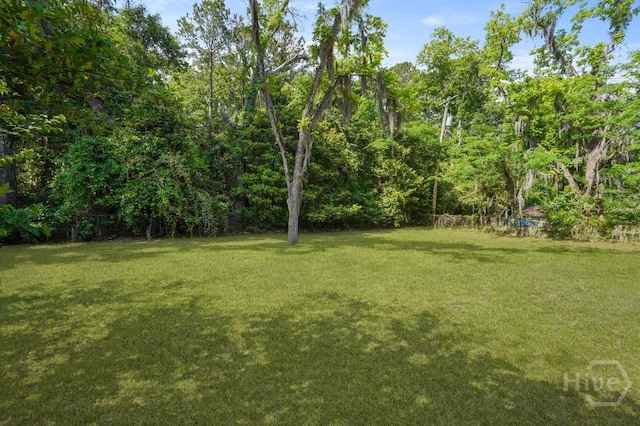 13 Hughes Ave, Savannah, GA 31406 - view of grassy yard
