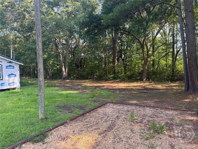 156 Diamond Ln, Midway, GA 31320 - view of grassy yard