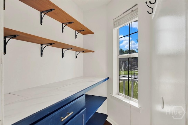 106 Dry Dock Ct, Savannah, GA 31410 - view of walk in closet