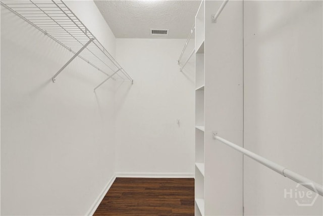 106 Dry Dock Ct, Savannah, GA 31410 - walk in closet featuring wood finished floors