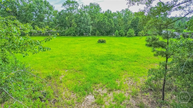 0 Springfield Egypt Rd, Springfield, GA 31329
