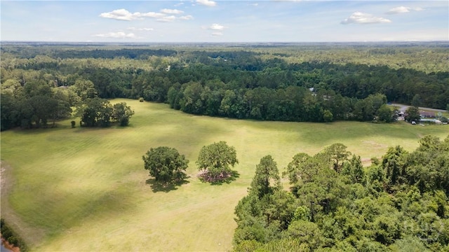 35ACRES Wells Rd, Hinesville, GA 31313 - photo 1