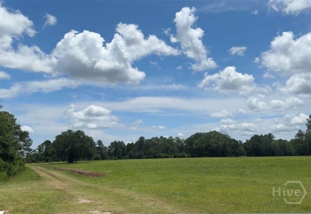 35ACRES Wells Rd, Hinesville, GA 31313 - photo 2