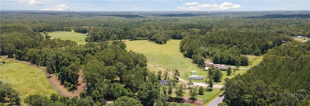 35ACRES Wells Rd, Hinesville, GA 31313 - photo 3