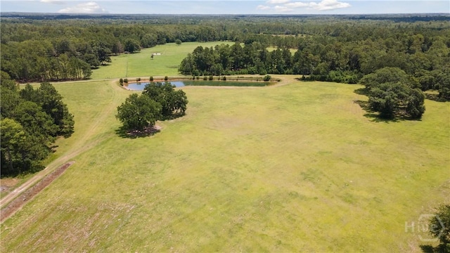 35ACRES Wells Rd, Hinesville, GA 31313 - photo 4