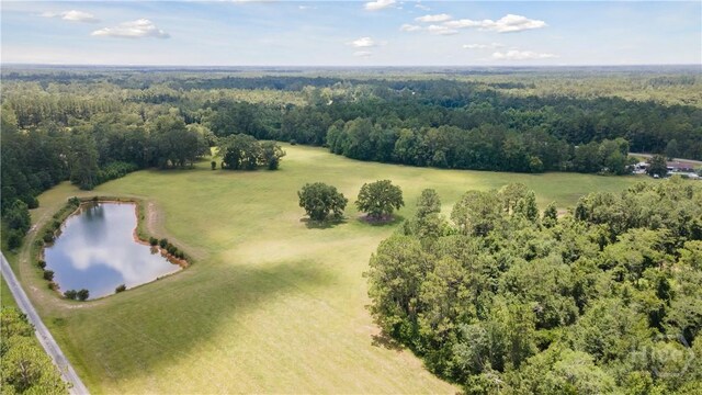 35ACRES Wells Rd, Hinesville, GA 31313 - photo 6
