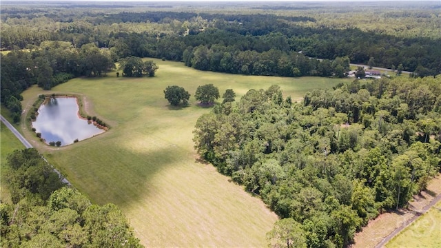 35ACRES Wells Rd, Hinesville, GA 31313 - photo 7
