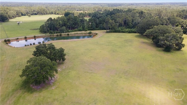 35ACRES Wells Rd, Hinesville, GA 31313 - photo 8