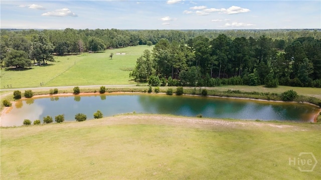 35ACRES Wells Rd, Hinesville, GA 31313 - photo 9