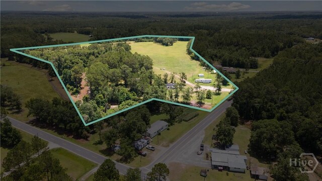 35ACRES Wells Rd, Hinesville, GA 31313 - photo 11