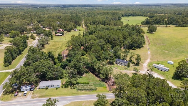 35ACRES Wells Rd, Hinesville, GA 31313 - photo 12