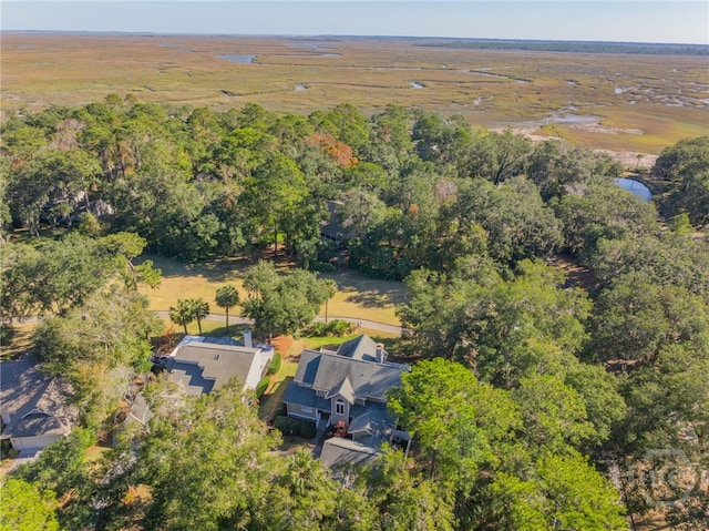 1 Hobcaw Ln, Savannah, GA 31411 - bird's eye view of a heavily wooded area