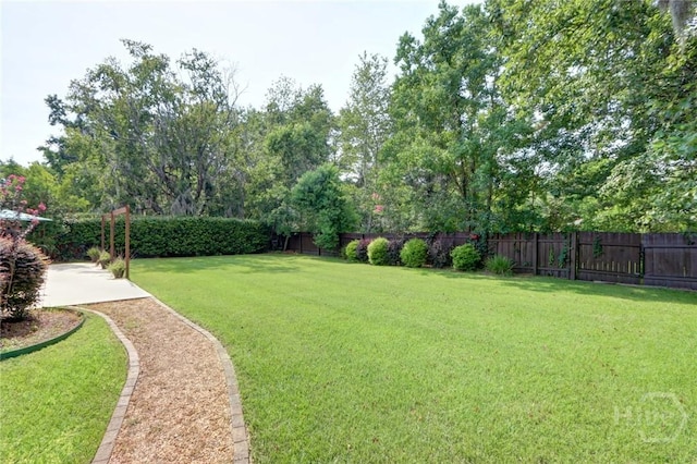22 Red Fox Dr, Savannah, GA 31419 - view of fenced backyard