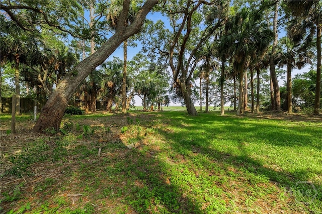 625 Whippoorwill Rd, Savannah, GA 31410 - photo 30