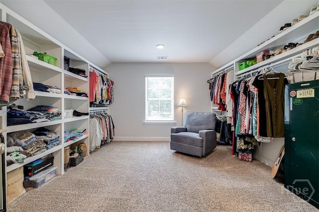 1652 Belle Island Rd, Richmond Hill, GA 31324 - spacious closet featuring carpet flooring and lofted ceiling