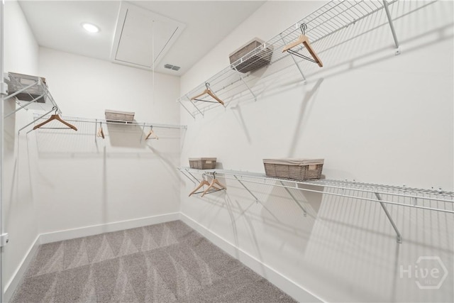 117 Mage St, Savannah, GA 31302 - spacious closet with attic access and carpet floors