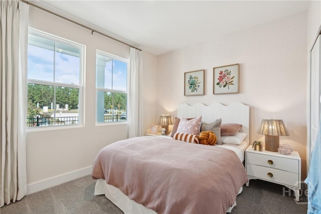 117 Mage St, Savannah, GA 31302 - bedroom with carpet and multiple windows