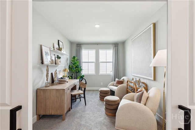 117 Mage St, Savannah, GA 31302 - office featuring light carpet and recessed lighting
